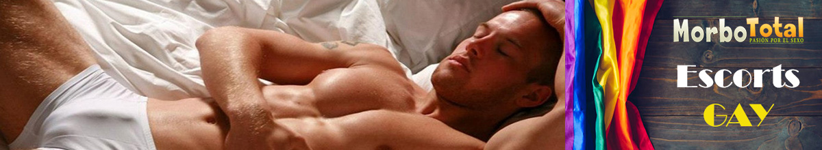 morbototal escort gay